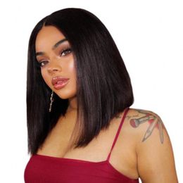 13x4 Lace Front Human Hair Wigs Mongolian Straight Middle Part Bob Wig for Women 8-16 inch