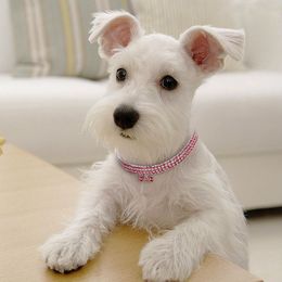 Cat Dog Collar Adjustable Rhinestone Tie Heart Bone Collar Necktie Puppy Kitten Pet Necklace S/M/L Size