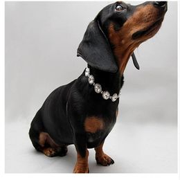 Rhinestone Dog Collar Pearl Dog Collars Crystal Diamante Pet Pearl Necklace Pets Accessories Jewellery Neck Pendant