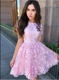Blush Pink Lace Party Short Homecoming Dresses With Short Sleeves 2020 Jewel Empire Waist A-line Graduation Bridesmaid Dress Maid Of Honour