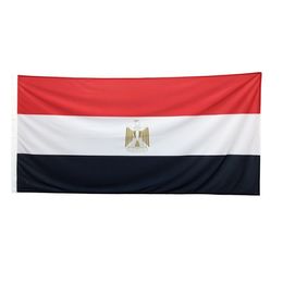 3x5 150x90cm Custom Egypt Flag Hanging Advertising Usage 100% Polyester for Outdoor Indoor Usage, Drop shipping