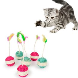 COLECAO BEBE PET - FILHOTINHOS - GATO, Rom Brinquedos : :  Brinquedos e Jogos