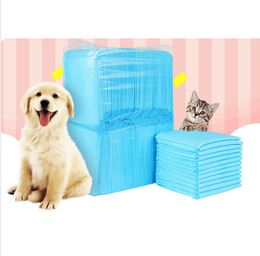 dog nappies petstock