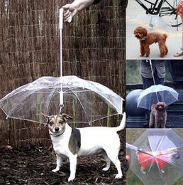 Transparent PE Pet Umbrella Dog Puppy Umbrella Rain Gear with Dog Leads Keeps Pet Travel Outdoors Pet Supplies