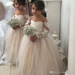Champagne Ball Gown Flower Girl Dress For Wedding Lace Appliques Tulle Floor Length Girls Pageant Gowns Baby Birthday Party Dress Cheap
