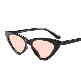 Wholesale-Cute Sexy Lady Cat Eye Sunglasses Retro SmallGlasses High Quality UV400 Vintage Brand Designer Glasses