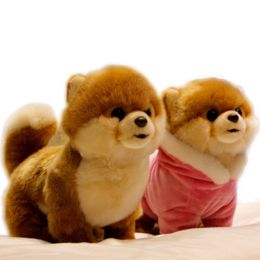 Hot Quality Realistic Pet Animals Plush Toy Mini Pomeranian Maltese dog Shiba Inu Doll for Kids Girl Gift Decoration DY50659