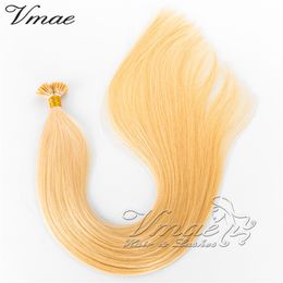 European 1g Strand 50g Natural Brown Blonde Straight Double Drawn Keratin Stick Pre Bonded I Tip Virgin Remy Human Hair Extensions