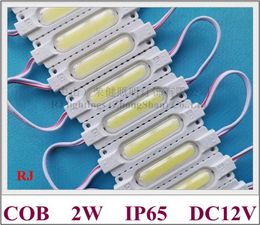 injection with lens COB LED module waterproof LED back light for sign channel letter DC12V 2W IP65 CE ROHS aluminum PCB 3 year warranty