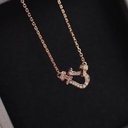 Women necklace Necklaces Female S925 Sterling Silver Plated Necklaces Women Fashiong Casual Necklacce