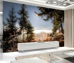 Custom any size Beautiful nature landscape background wall wallpaper for walls 3 d for living room