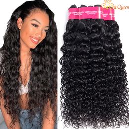 Gaga Queen Peruvian Water Wave Human Hair Weave Bundles Nature Colour Peruvain Virgin Hair Water Wave Hair Extensions