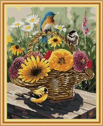 Bird and flower basket home cross stitch kit ,Handmade Cross Stitch Embroidery Needlework kits counted print on canvas DMC 14CT /11CT