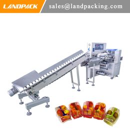 Large Flow Packing Machine For All Kind Of Fruit And Vegetable Packing Efficient Orange Pillow Bag Wrapping Machine