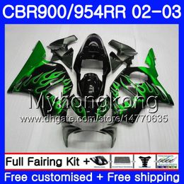 Bodys Green flames stock For HONDA CBR900RR CBR 954 RR CBR954RR 02 03 CBR900 RR 280HM.60 CBR 900RR CBR954 RR CBR 954RR 2002 2003 Fairing kit