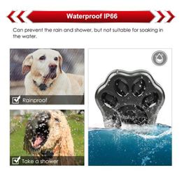 hot 3g gps tracker cat dog gps pet gps locator realtime tracking waterproof wcdma dog tracker waterproof geofence free web app