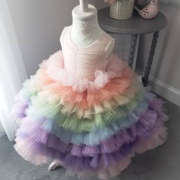 Rainbow Ruffles Tutu Girls Christmas Holiday Dresses 2019 Layered Sequins Pageant Dress for Little Girls Real Photo Ballgown Flower Girl