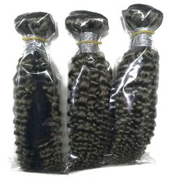 brazilian virgin hair Silver Gray Color# Kinky Curly human hair weaves 3pcs per lot free DHL