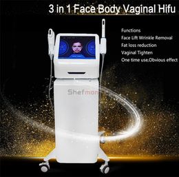 3 in 1 Hifu Machine Vaginal Tightening Face Lift Body Slimming Wrinkle Removal Salon Beauty Equipment