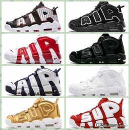 nike air pippen 6 uomo rosa