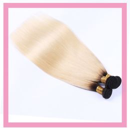 Indian 1B/613 Human Hair Silky Straight Three Bundles 3 Pieces One Lot Double Wefts 1B 613 Blonde Ombre Colour Hair Products