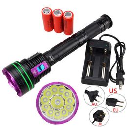 15000 lumens 12 lights L2 diving high power strong light flashlight long shot king 12 L2 lights