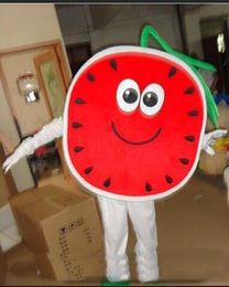 2019 High quality hot watermelon mascot costume animal cartoon costume adult children party fancy dress mascot costume free shipping