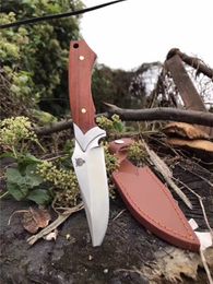 Speical Offer Survival Straight Knife 440C Satin Blade Full Tang Wood Handle Outdoor Hunting Fishing Rescuse Knives Tools