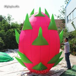 Outdoor Advertising Inflatable Pitaya Model 3m/5m Giant Air Blown Fire Dragon Fruit For Planets Exhibition And Parade Events