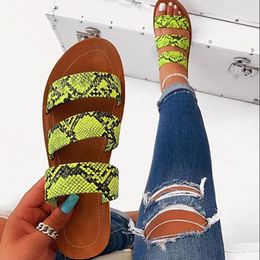 Pantofole scarpe da donna scivoli moda moda africana sandali in pelle di serpente africana piatta PVC solidato sexy femminile