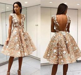2019 Cheap Short Mini Champagne A Line Cocktail Dresses Party Jewel Neck Lace Appliques Sexy V Back Knee Length Prom Homecoming Gowns