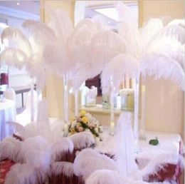 200 pcs Per lot 10-12 inch White Ostrich Feather Plume Craft Supplies Wedding Party Table Centrepieces Decoration GB834