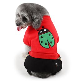 Hundekleidung Rabatt Polsterung2019 Rabatt Rabatt Polsterung2019 Hundekleidung Rabatt Hundekleidung Hundekleidung Polsterung2019 Polsterung2019 BerxdWCo
