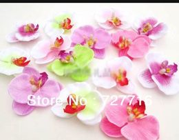 Wholesale-Mixed color Simulation butterfly orchid Flowers Silk Decoration Flowers Head 50pcs/lot -Free shipping