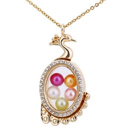 G1552 Gold Colour peacock Pearl cage Rhinestone Magnetic Glass Floating Locket Pendants Women Charms 20" Necklace