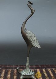 Have a long lead bronze crane of Ganoderma lucidum