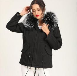 2019 New black tip raccoon fur trim Mukla furs brand black white stripe rex rabbit fur lining mini women black parkas