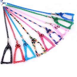 Nylon Dog Leashes Pet Puppy Training Straps for Small Dogs Cats Nylon Leashes Wholesale