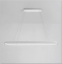 Modern Oval Led Pendant Light Aluminum Hanging Lamp Island Lighting Fixture for Dining Livingroom Bedroom AC85-265V