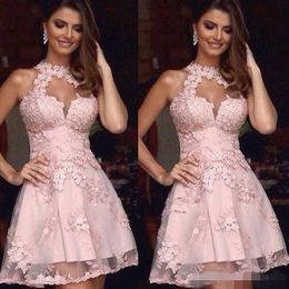 Cute Pink Halter Homecoming Dresses Lace Applique Hollow Plunging Neck Above Knee Length Tulle Sleeveless Tail Party Gown Custom Made