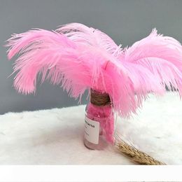 ostrich feathers wholesale canada