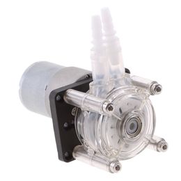 Freeshipping Peristaltic Pump Metering Corrosion Protection Vacuum Pump Suction Pump Silver 24V
