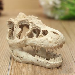 Resin Craft Dinosaur Skull Model Dinosaur Tooth Skull Fossil Teaching Skeleton Model Home Office Halloween Decoration