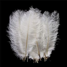 Soft Per lot 10-16 inch White Ostrich Feather Plume Craft Supplies Wedding Party Table Centerpieces Decoration Free Shipping