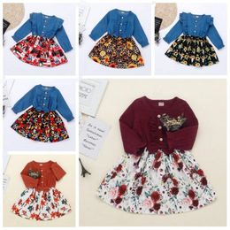 Baby Girls Clothes Dresses Kids Denim Floral Princess Dresses Cartoon Printed Cotton Linen Dress Ruffle Long Sleeve Round Dress BZYQ6830