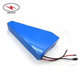 Triangle electric bike battery 48v 20ah lithium ion batterie for 1000w 1500w 2000w e bike battery