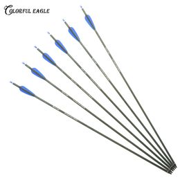 Spine 300 400 Pure Carbon Arrow 28/30/31 Inches ID6.2mm with Removable Tip for Recurve Compound Bow Arrows Shooting Hunting