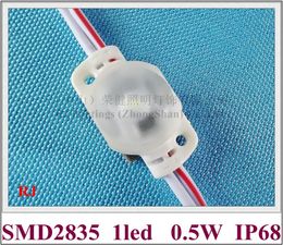 injection LED module light ultrasonic seal IP68 DC12V SMD2835 1LED 0.5W Double-sided PCB super bright super quality