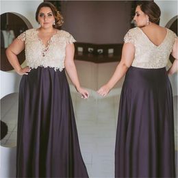 Formal Plus Size Prom Dresses Lace A Line Special Occasion Gowns V Neck Evening Dress Sleeves SD3366