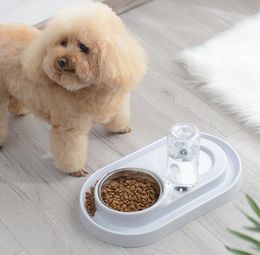 Automatic Pet Feeder Dogs Nz Buy New Automatic Pet Feeder Dogs